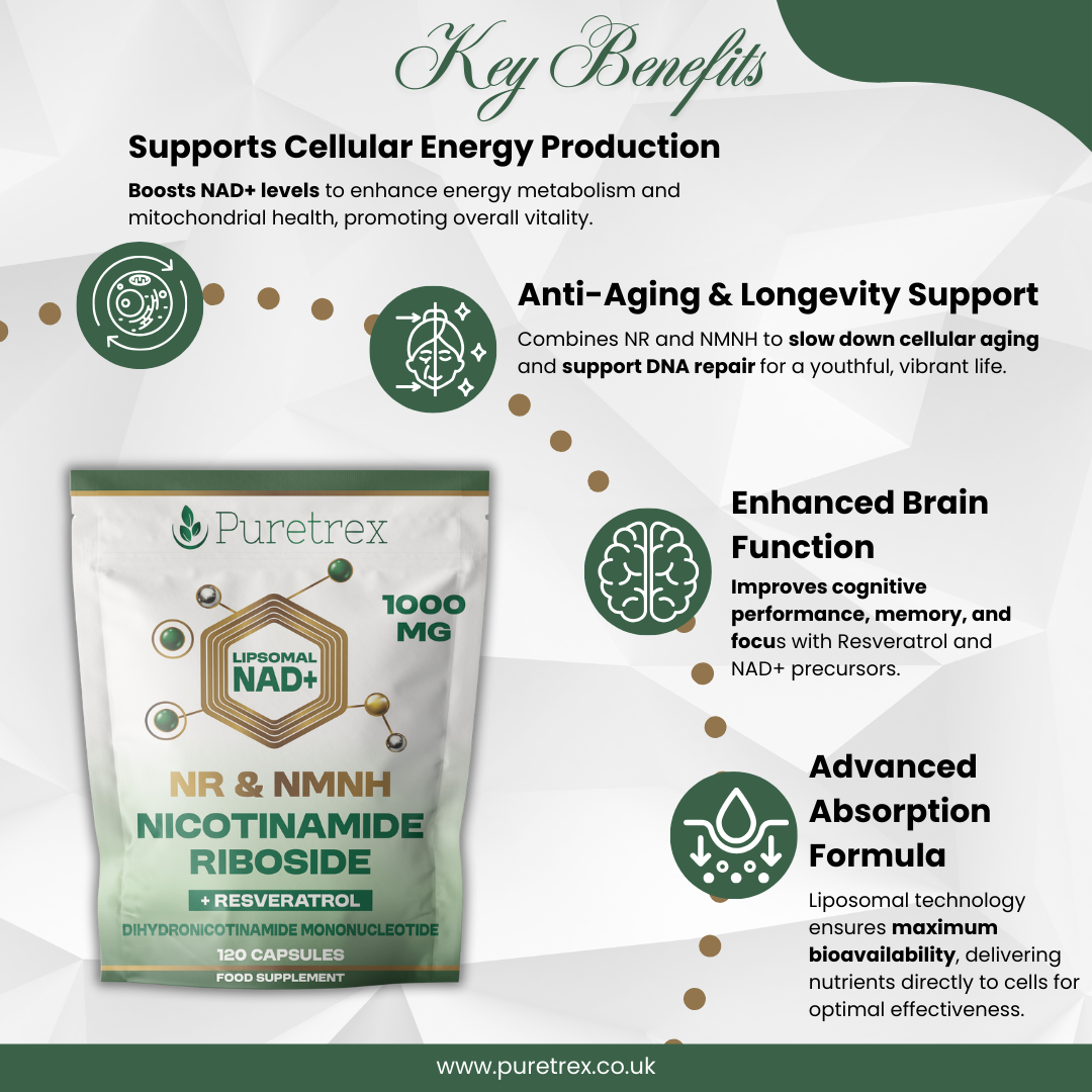 Infographic with key points for Puretrex Liposomal NAD+ NR & NMNH Complex, highlighting energy and focus.