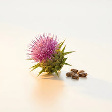 Milk Thistle