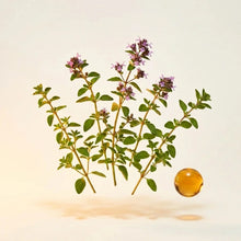 Wild Oregano Oil