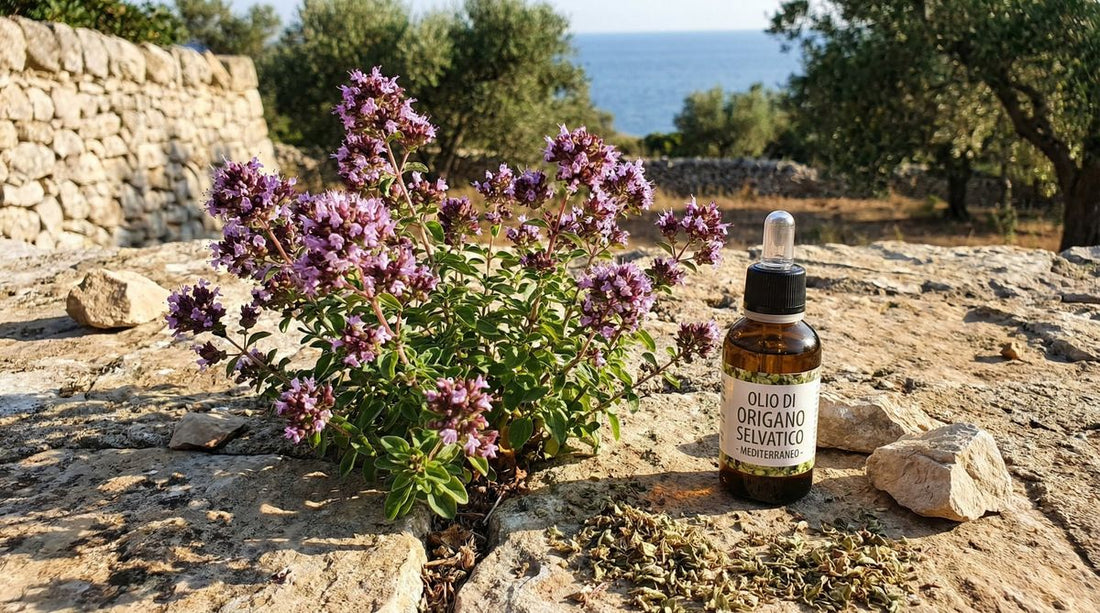 Wild oregano plant with purple flowers and dropper bottle of oregano oil on Mediterranean coastline