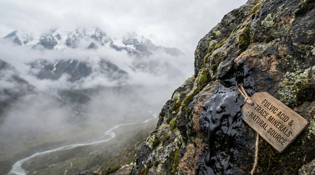 Shilajit resin on Himalayan mountain rock with snow-capped peaks and river valley - natural source of fulvic acid and trace minerals