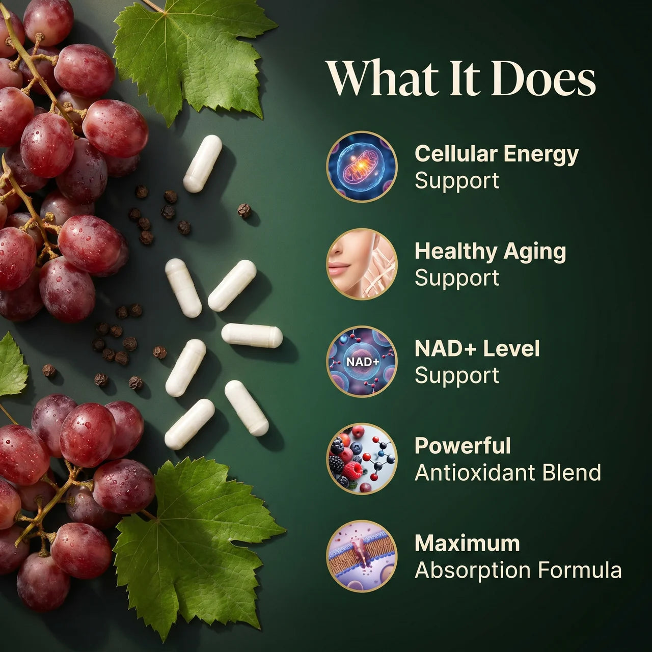 NMNH Ultra Complex Capsules – 1000mg NAD+ Support Formula