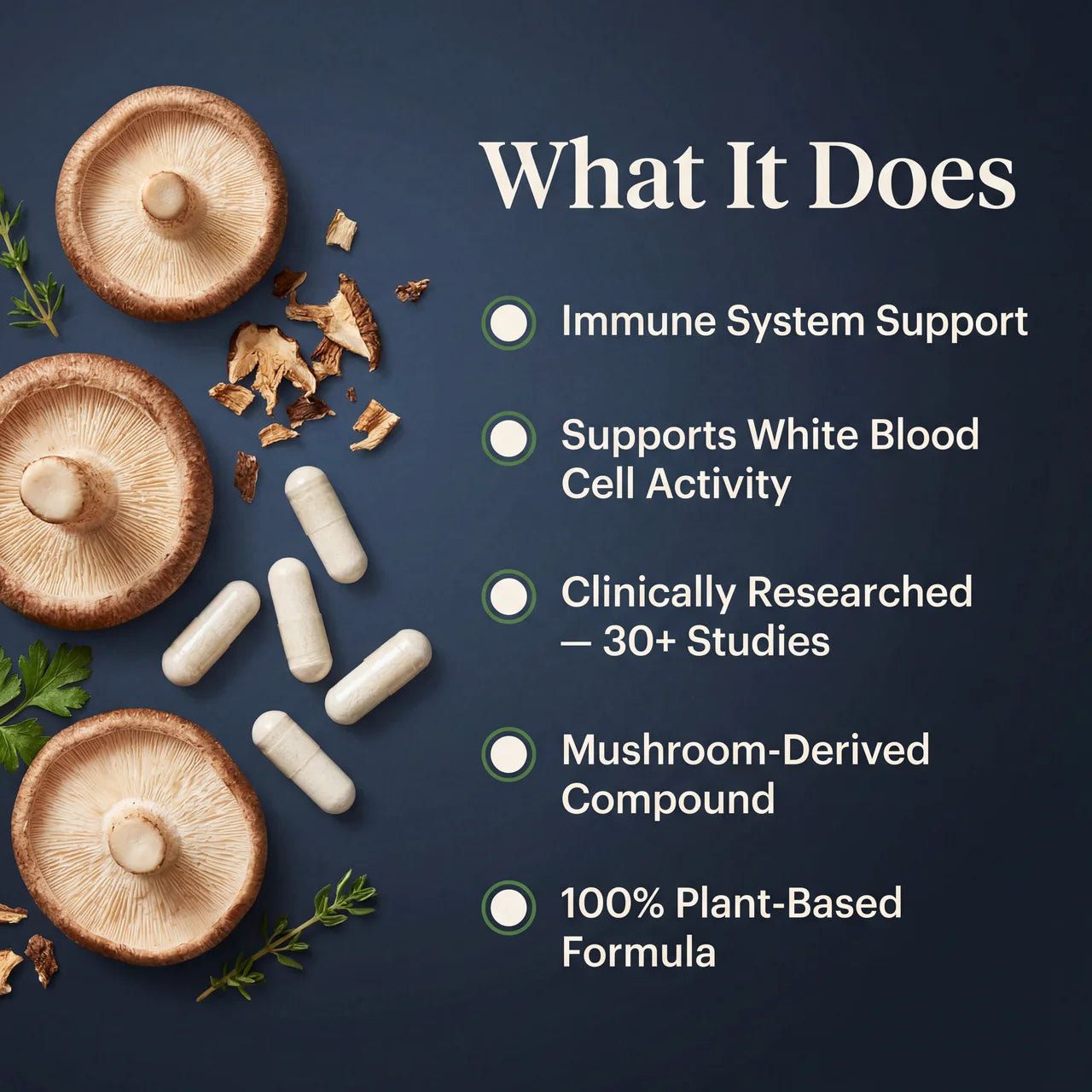 AHCC with Acylated Alpha-Glycans – 750mg Immune Support Vegicaps