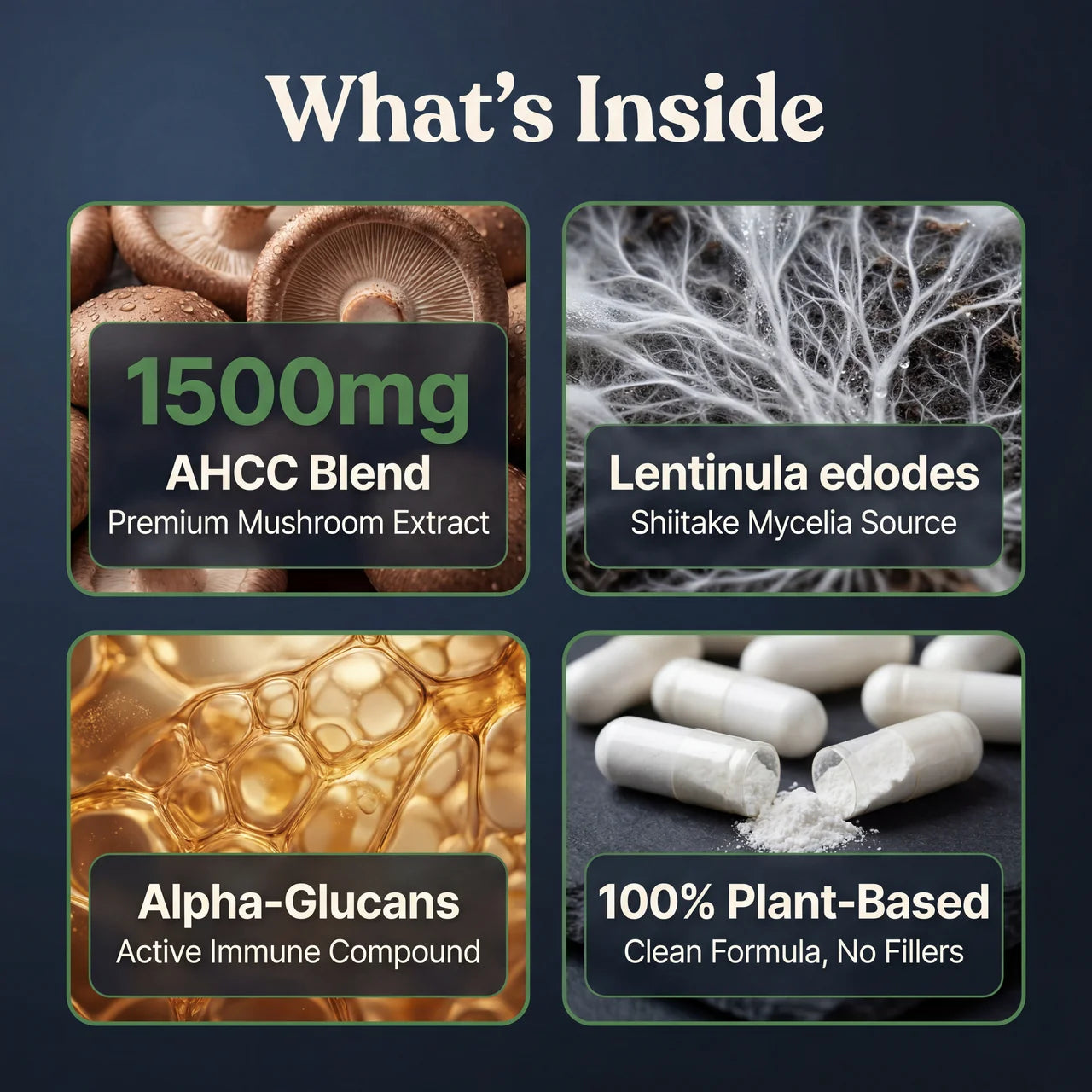 AHCC with Acylated Alpha-Glycans – 750mg Immune Support Vegicaps