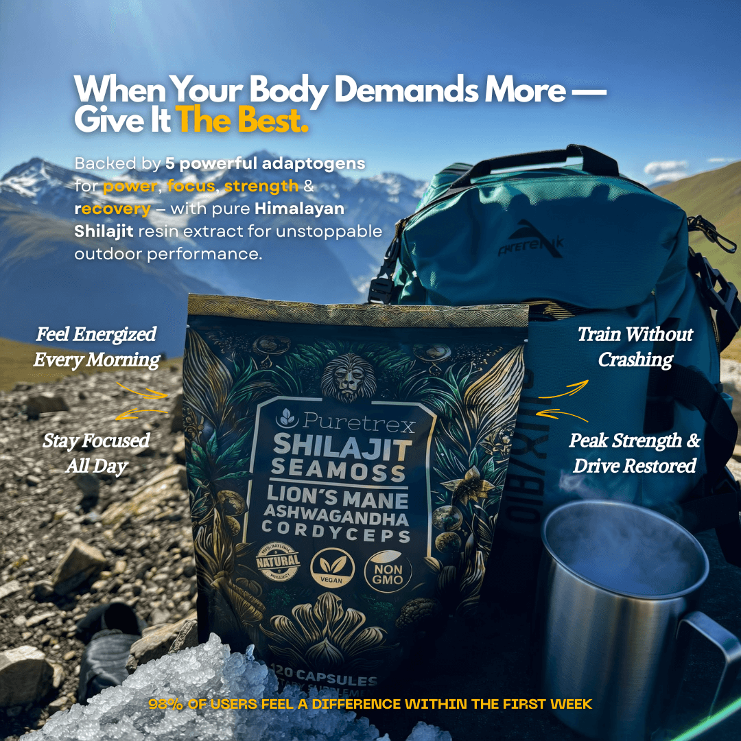 Shilajit with Sea Moss, Lion's Mane, Ashwagandha & Cordyceps