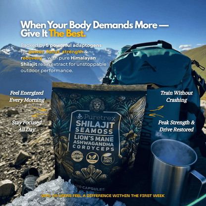 Shilajit with Sea Moss, Lion's Mane, Ashwagandha & Cordyceps