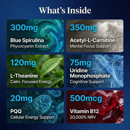 Blue Brain Gummies – Spirulina, Uridine & Theanine Nootropic Formula