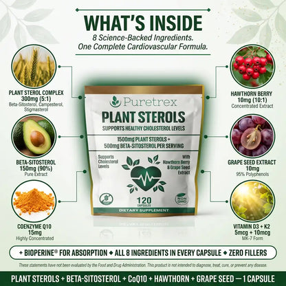 Plant Sterols 2000mg Complex – Beta-Sitosterol, CoQ10 & Vitamin K2