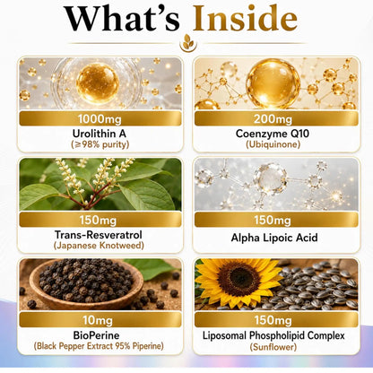 Urolithin A 1000mg Liposomal Complex – 60 Vegan Softgels