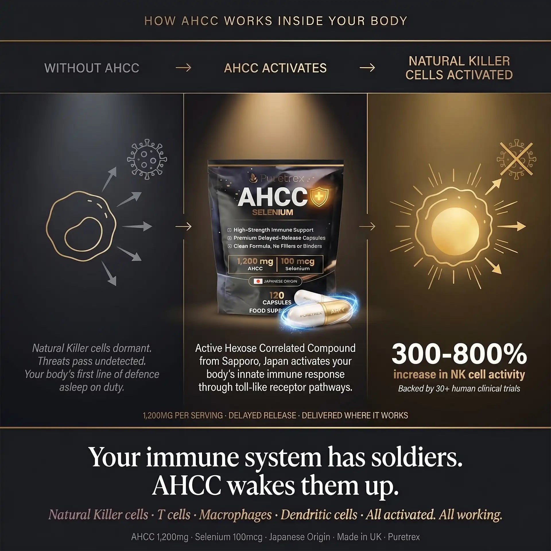 Advertisement for AHCC supplement showing its effects on the immune system.