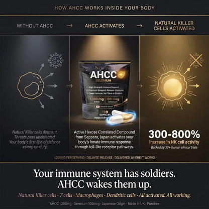 Advertisement for AHCC supplement showing its effects on the immune system.