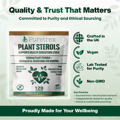 Plant Sterols Complex 2000mg