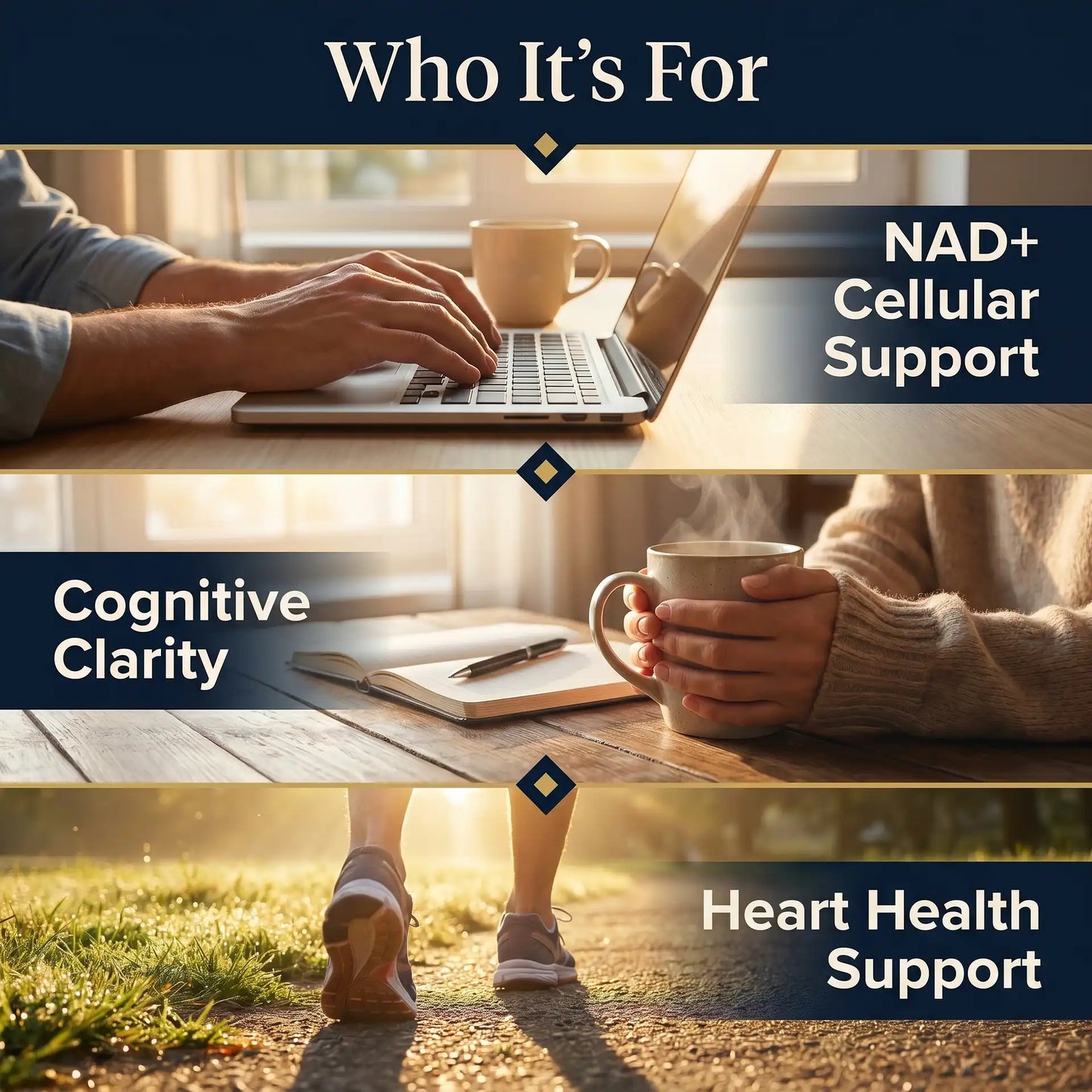NMN & Resveratrol 7-in-1 Complex – CoQ10, TMG & BioPerine®