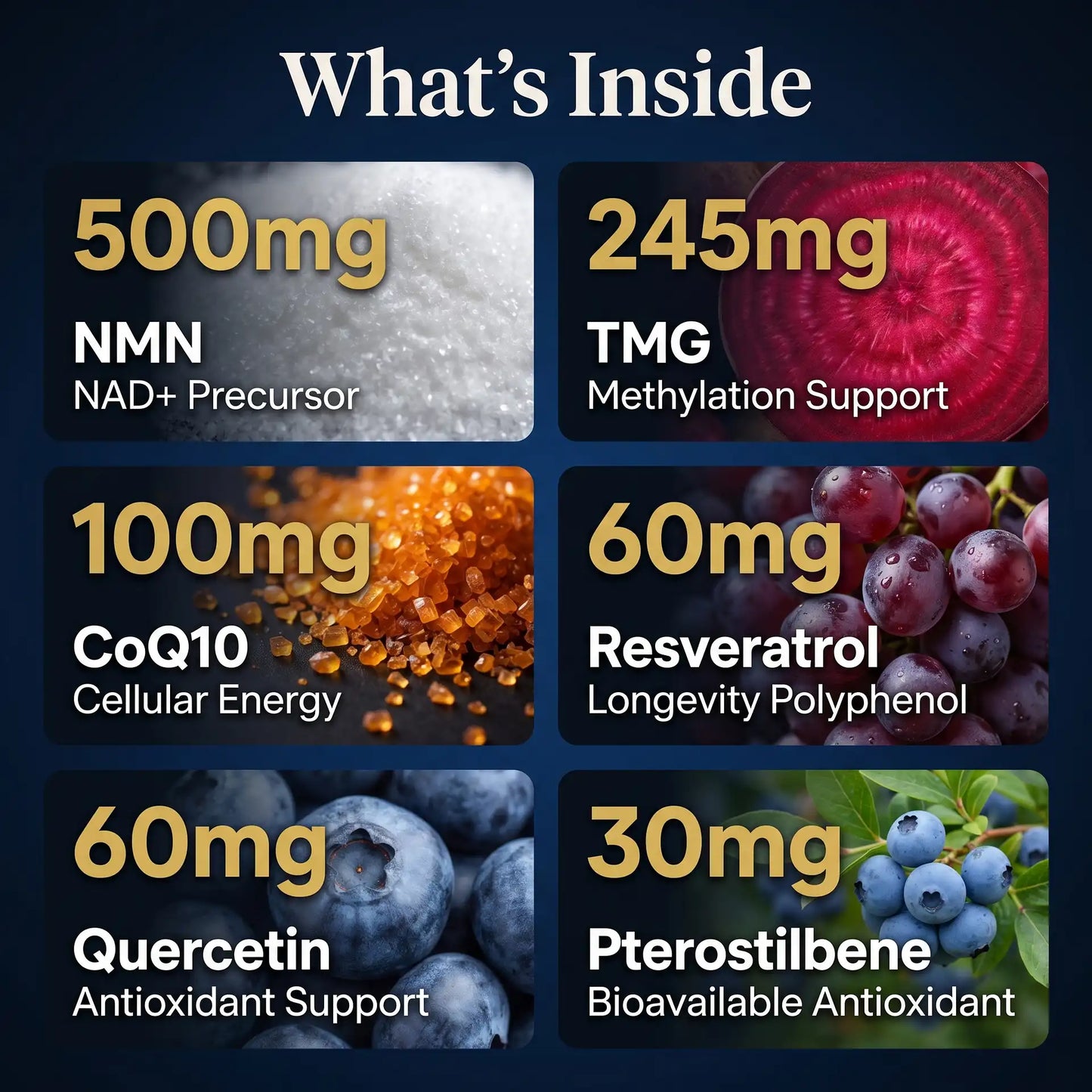 NMN & Resveratrol 7-in-1 Complex – CoQ10, TMG & BioPerine®