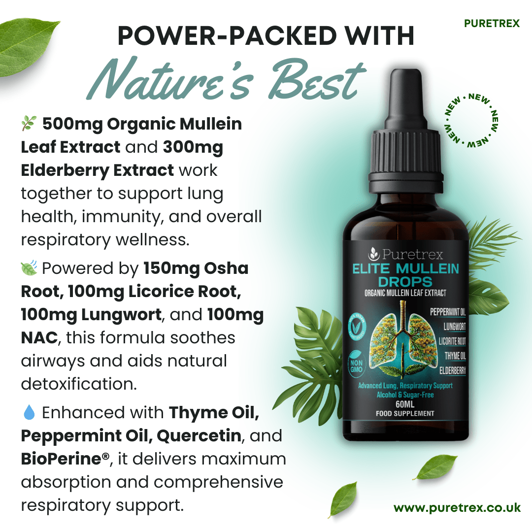 Ingredient highlights of Puretrex Elite Mullein Drops with organic mullein leaf, elderberry, licorice root, osha root, NAC, thyme oil, and peppermint oil.