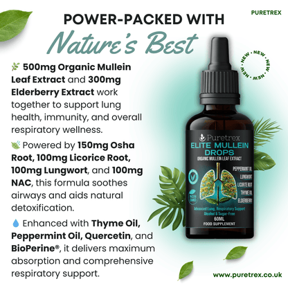 Ingredient highlights of Puretrex Elite Mullein Drops with organic mullein leaf, elderberry, licorice root, osha root, NAC, thyme oil, and peppermint oil.