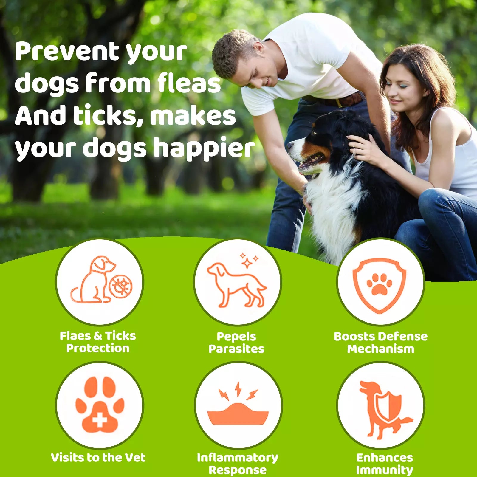 PURETREX Flea & Tick Chews key benefits – helps prevent fleas and ticks, boosts defense, supports skin and coat health, veterinarian formulated.