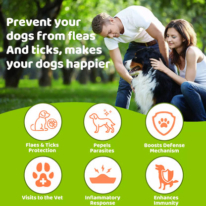 PURETREX Flea & Tick Chews key benefits – helps prevent fleas and ticks, boosts defense, supports skin and coat health, veterinarian formulated.
