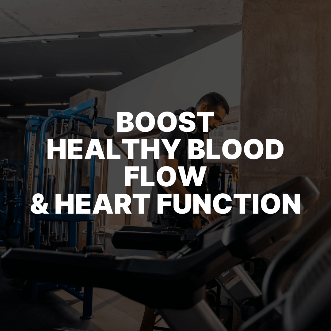 Puretrex Nattokinase + Bromelain supplement – promotes healthy blood circulation, heart function, immune defence and vascular wellness
