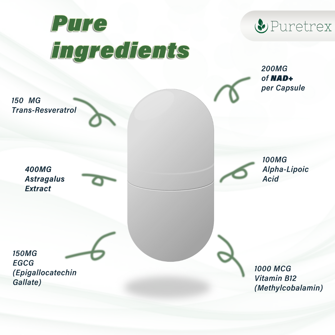 PURETREX NAD+ Booster Complex ingredients – NMN, Resveratrol, CoQ10, Vitamin D3, Curcumin, Alpha-Lipoic Acid, BioPerine.
