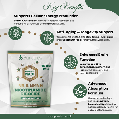 Infographic with key points for Puretrex Liposomal NAD+ NR & NMNH Complex, highlighting energy and focus.