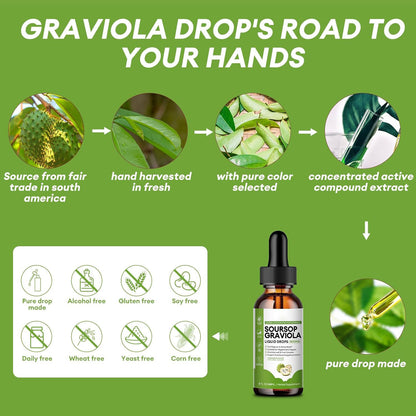 Puretrex Soursop Graviola Drops production process – fresh graviola leaves, extraction, and liquid drop preparation.
