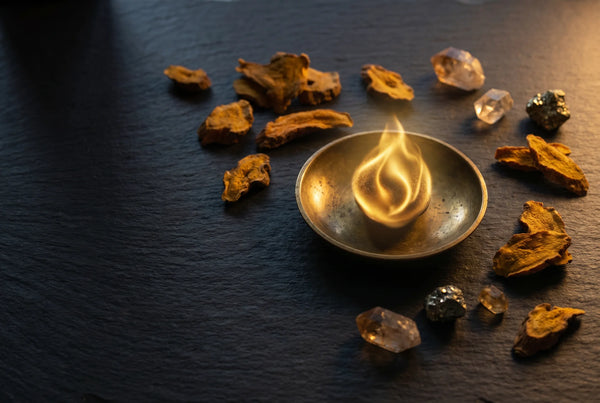 Golden ember on dark slate representing metabolic energy — PURETREX GLP-1 metabolic support supplement