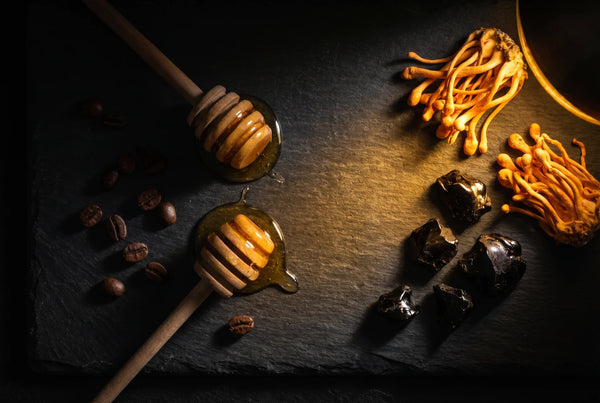 Golden light breaking across dark surface with natural ingredients — energy support with PURETREX Shilajit Sea Moss