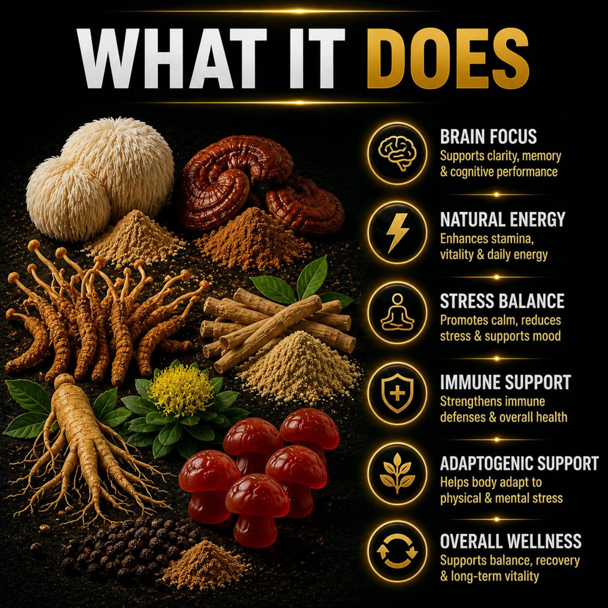 Promotional infographic titled 'WHAT IT DOES' on a black background, showing assorted natural ingredients including lion's mane, cordyceps, ginseng, cinnamon, red dates, and herbs, alongside a vertical list of benefits such as brain focus, natural energy, stress balance, immune support, adaptogenic support, and overall wellness.