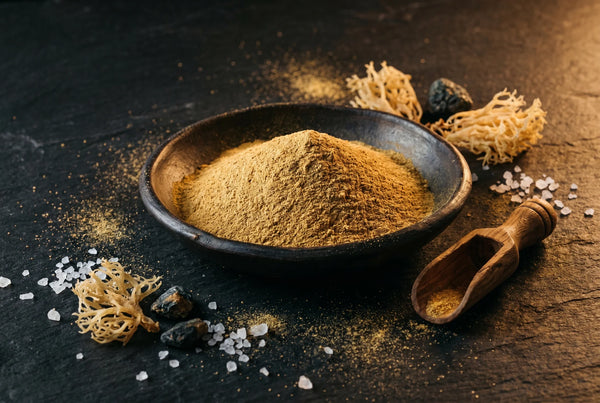 Golden mineral powder and dried sea moss on dark surface — overall wellness support with PURETREX Shilajit Sea Moss