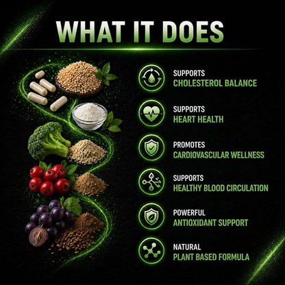 Plant Sterols 2000mg Complex – Beta-Sitosterol, CoQ10 & Vitamin K2