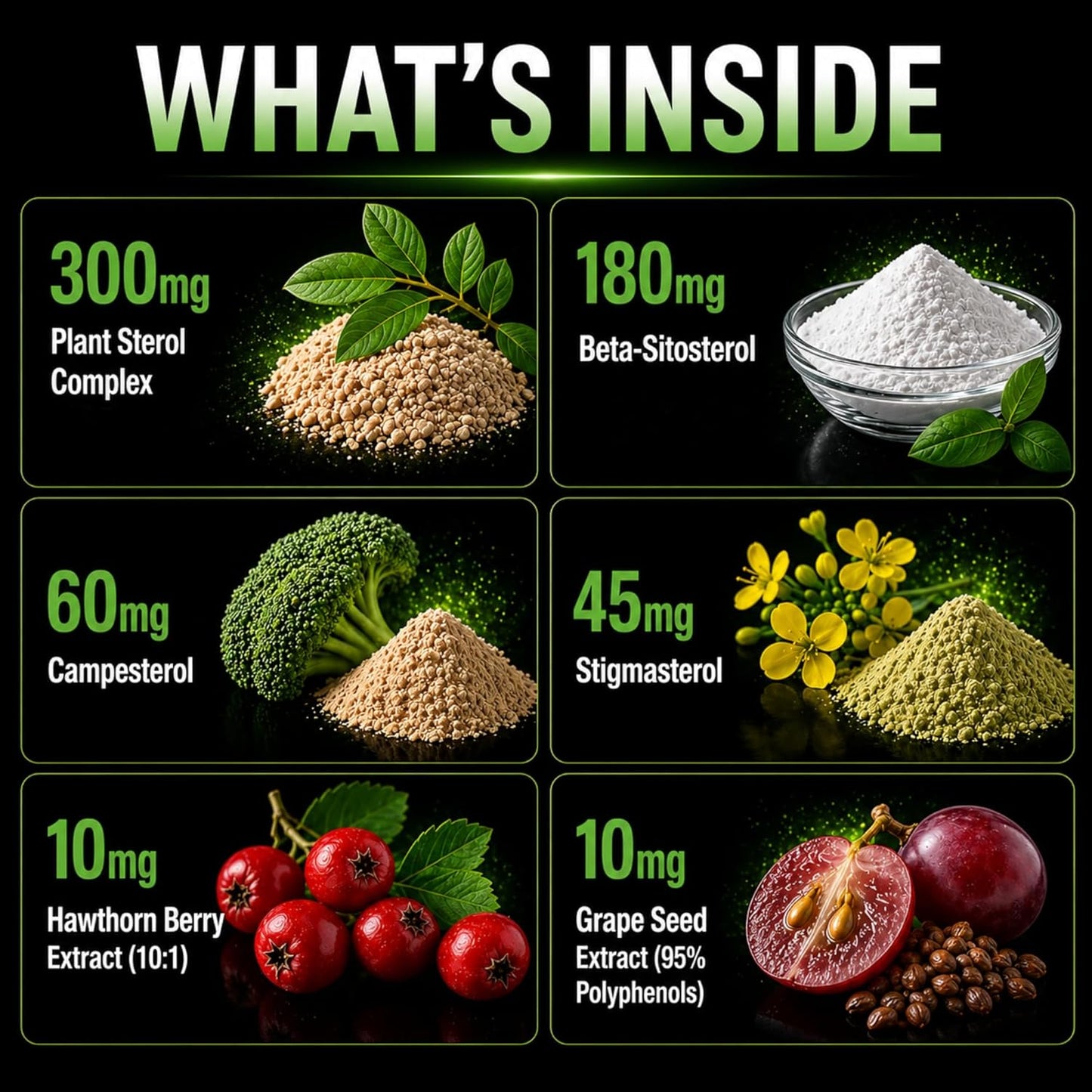 Plant Sterols 2000mg Complex – Beta-Sitosterol, CoQ10 & Vitamin K2