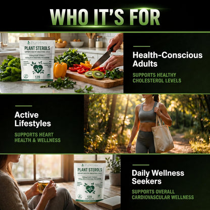 Plant Sterols 2000mg Complex – Beta-Sitosterol, CoQ10 & Vitamin K2