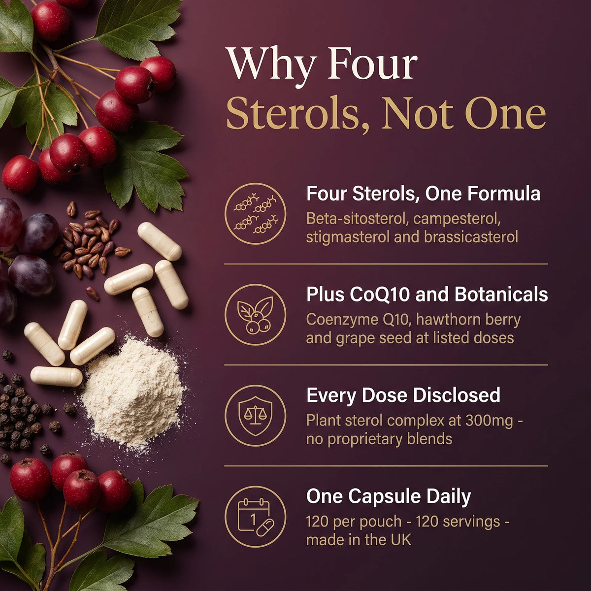 Plant Sterols Complex – Beta-Sitosterol, CoQ10 & Vitamin K2 | 120 Vegan Capsules