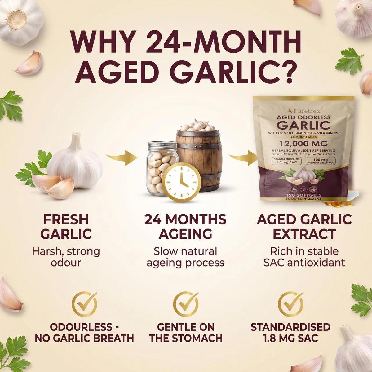 How aged garlic extract is made: fresh garlic aged for 24 months to become PURETREX Aged Odourless Garlic extract, standardised to 1.8mg S-allyl cysteine