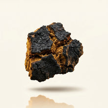 Chaga