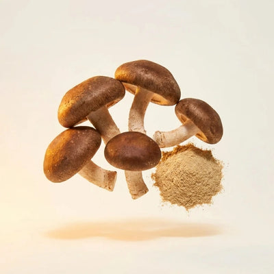 AHCC® Mushroom Extract