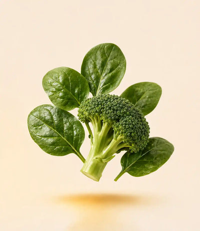 Alpha Lipoic Acid