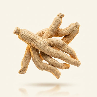 KSM-66® Ashwagandha
