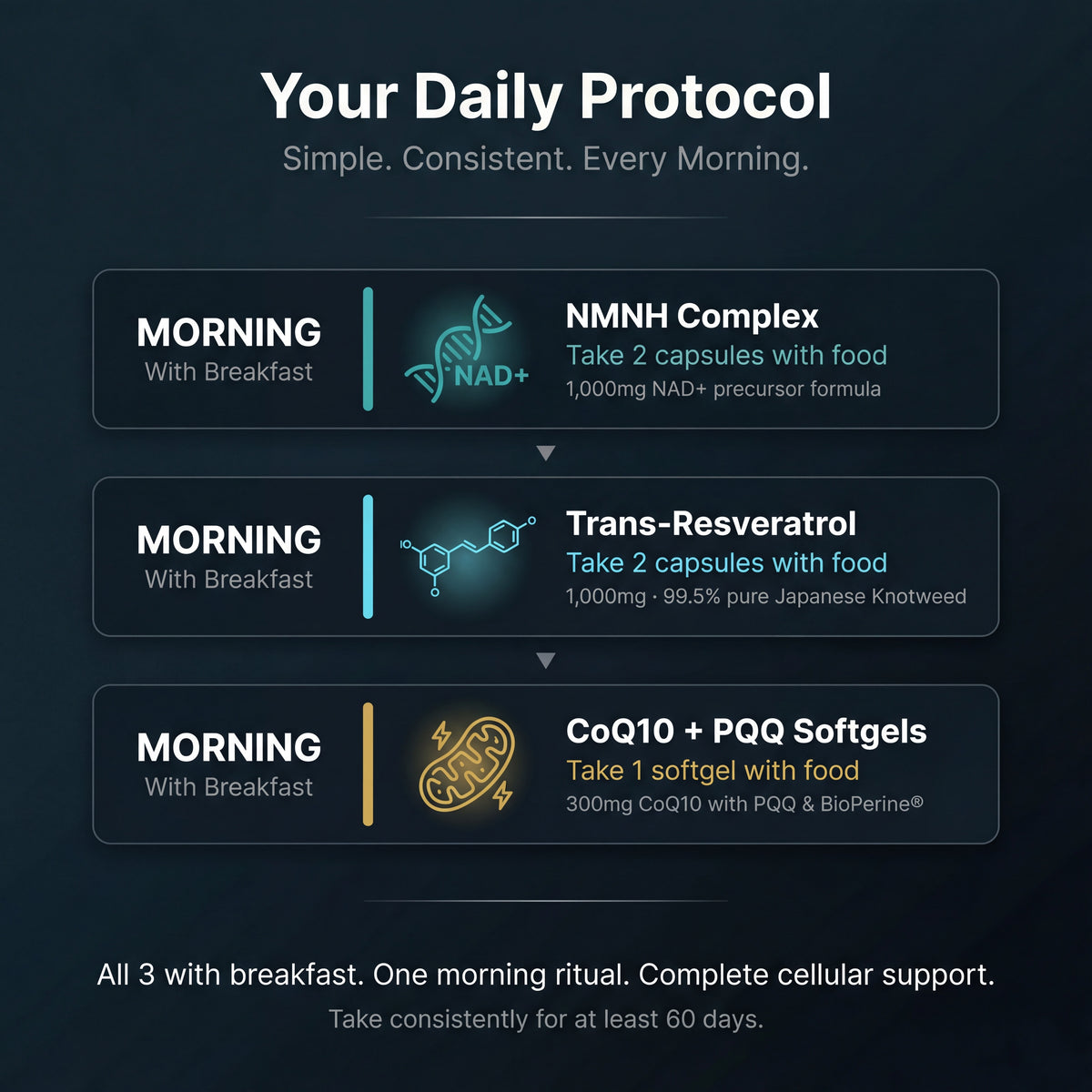 Daily protocol for health supplements with icons and text on a dark background