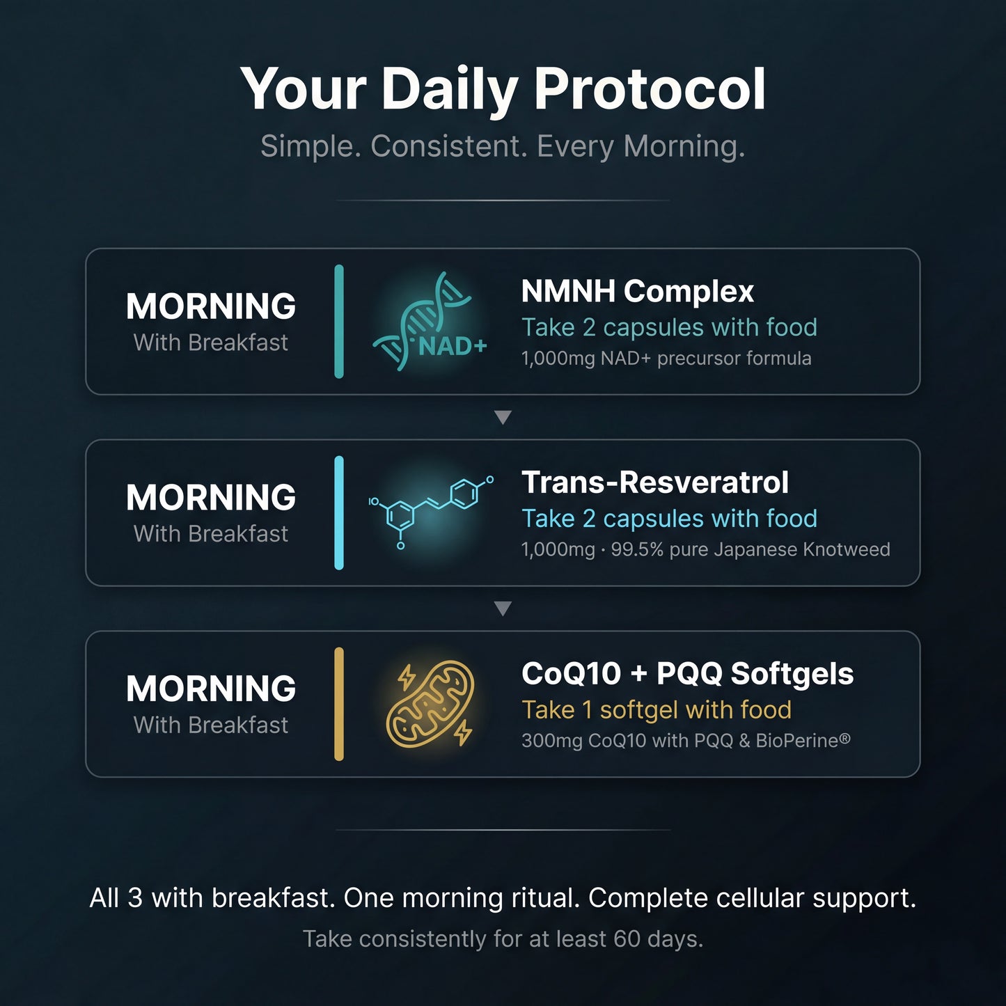 The Cellular Fountain Stack | Cellular Health & Antioxidant Support Bundle