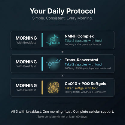 The Cellular Fountain Stack | Cellular Health & Antioxidant Support Bundle