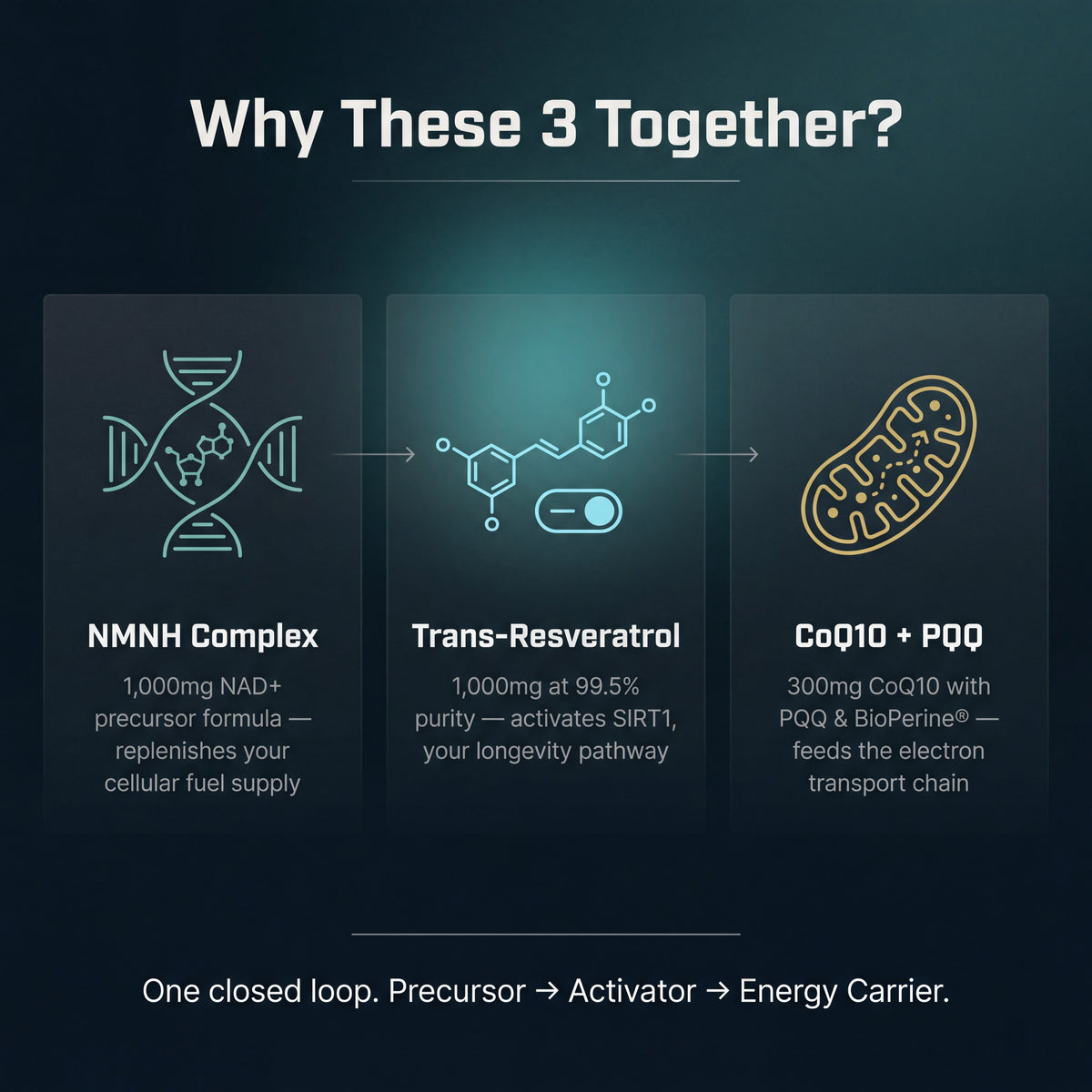 Diagram explaining the combination of NMNH Complex, Trans-Resveratrol, and CoQ10 + PQQ on a dark background.