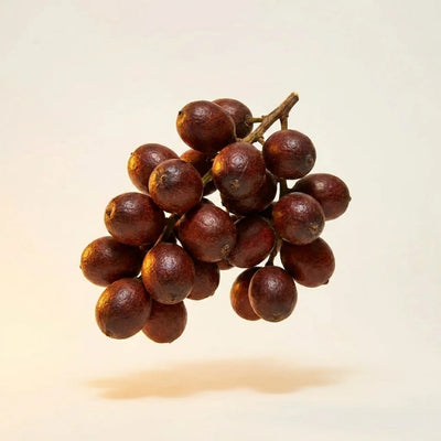 Saw Palmetto