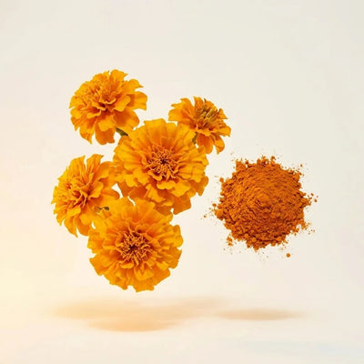 Lutein
