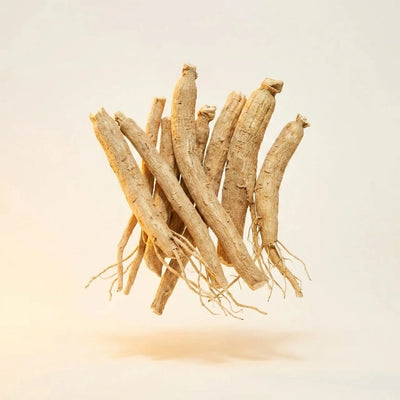 Ashwagandha (KSM-66®)