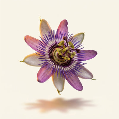 Passionflower Extract