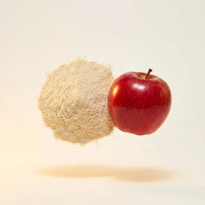 Apple Cider Vinegar Powder
