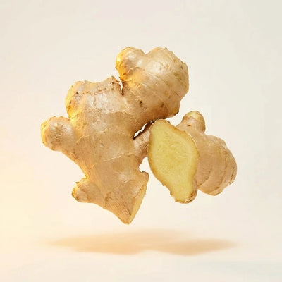Ginger Root Extract
