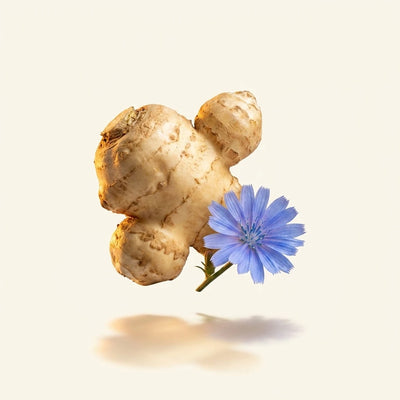 Inulin (Chicory Root)